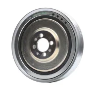 ���� ��������� Dayco DPV1046 ����