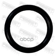 ������ �������������� �������� ������� ������� 16.9X2.45 16618-8H800 Nissan Almera UK MAKE N16E 2000.02-2006.11 [EL] Febest ���. 02400-020 ����