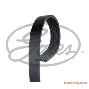 ������ ������������ XF 68429 Gates 6PK1803 ����