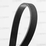 ������ ������������ Carberry 6PK700 ����