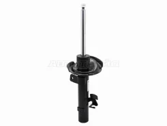 ������ Sachs 313283, ����� �������� ����