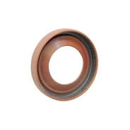������� ���������, ����������� ��� 2108-2110 Rosteco ����