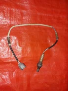 ������ ����������� Honda Stream 2005 36532PSA004 RN1 D17A ������ ����