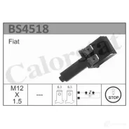 ������ ��������� ���� ������� Transit -00, , �� BS4518 ����
