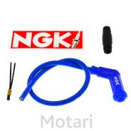  +   NGK ( 120)  