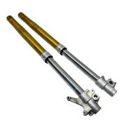   Kawasaki KLX250 / Japan 