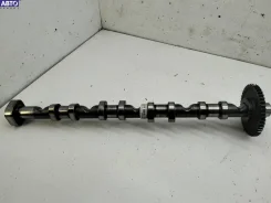 ���������� Volkswagen Passat B6 ����