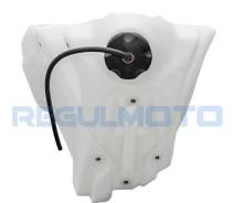  Regulmoto Nibbi N300, N300-S 