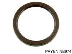 ������� ��������� ��� Payen NB974 ����