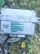 ���� ���������� ���� ����� ��� LWFW AJ 2005� ����