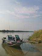 fish 46 