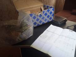 ������ ������� Nissan Almera/Sunny ����