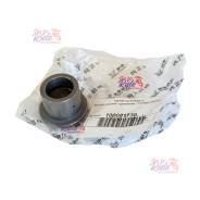    172FMM PR250 
