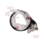   TT-R250, TT250R (TT-R/ RAID) 