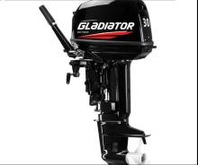   Gladiator G 30 FHS 
