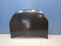 ����� Opel Signum 2003-2008 [1160255] ����