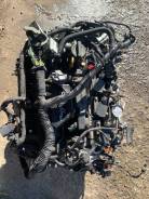 ��������� � ����� 1.5� Ecoboost ���� ����� 3/Ford Focus 3 15-