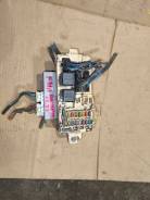 ���� ��������������� �������� Diamante F31A ����