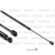����������� ������ ��������� Patron PGS8014RE ����
