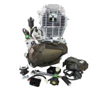  ZS172FMM-5 PR (175FMN), 300cc, big bore 75, 5  