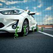 Toyota Aqua      1900 