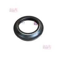    Fastace AKX01RC (old pro) 35x46,3/51x6/14.5 