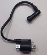    Motoland 300 DF BIG BORE 