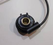    Motoland 300 DF BIG BORE 