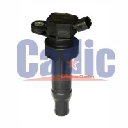 ������� ��������� Cadic KD9143 ����