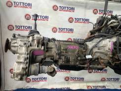 ���� WL-T 4WD ��� ������� �� ��! 38672