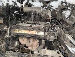 ��������� 4AFE Toyota Sprinter Carib, II 1990 ����