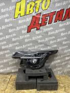 ���� �������� ����� Kia Seltos 2019 - �. �