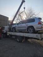 ������ ����������, ������������. ����