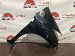 ����� �������� ������ ��81�