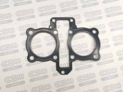   4T Regal Raptor (250-350 cc) 