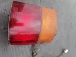 ���� ������ ������