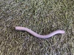 �������� ��������� Hyundai Sonata 2004 2545138000 EF G4JP ����