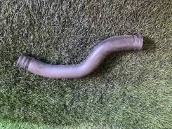 �������� ��������� Hyundai Sonata 2004 2541438040 EF G4JP ����