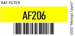    BMW R1200R RAF Filter AF206 