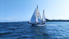 ������ �������-�������� ���� �������-41 ����