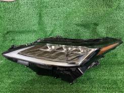 ���� Lexus RX300 AGL20 2019 �����. ���