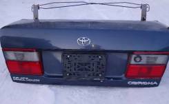 ������ ��������� ����