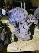 ���� ���� ����� 2021 ����