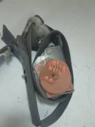 ������ ������������ ����