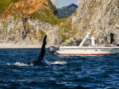 ������ �������. ������� ��������. ������� � ������������� �������. ����� ����