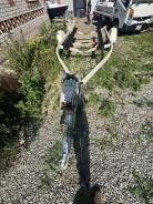 ������ ������ ����