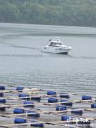 ������ ������ ����