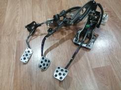 ������ ����