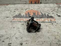 ��������� ����