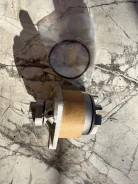 ����� ����